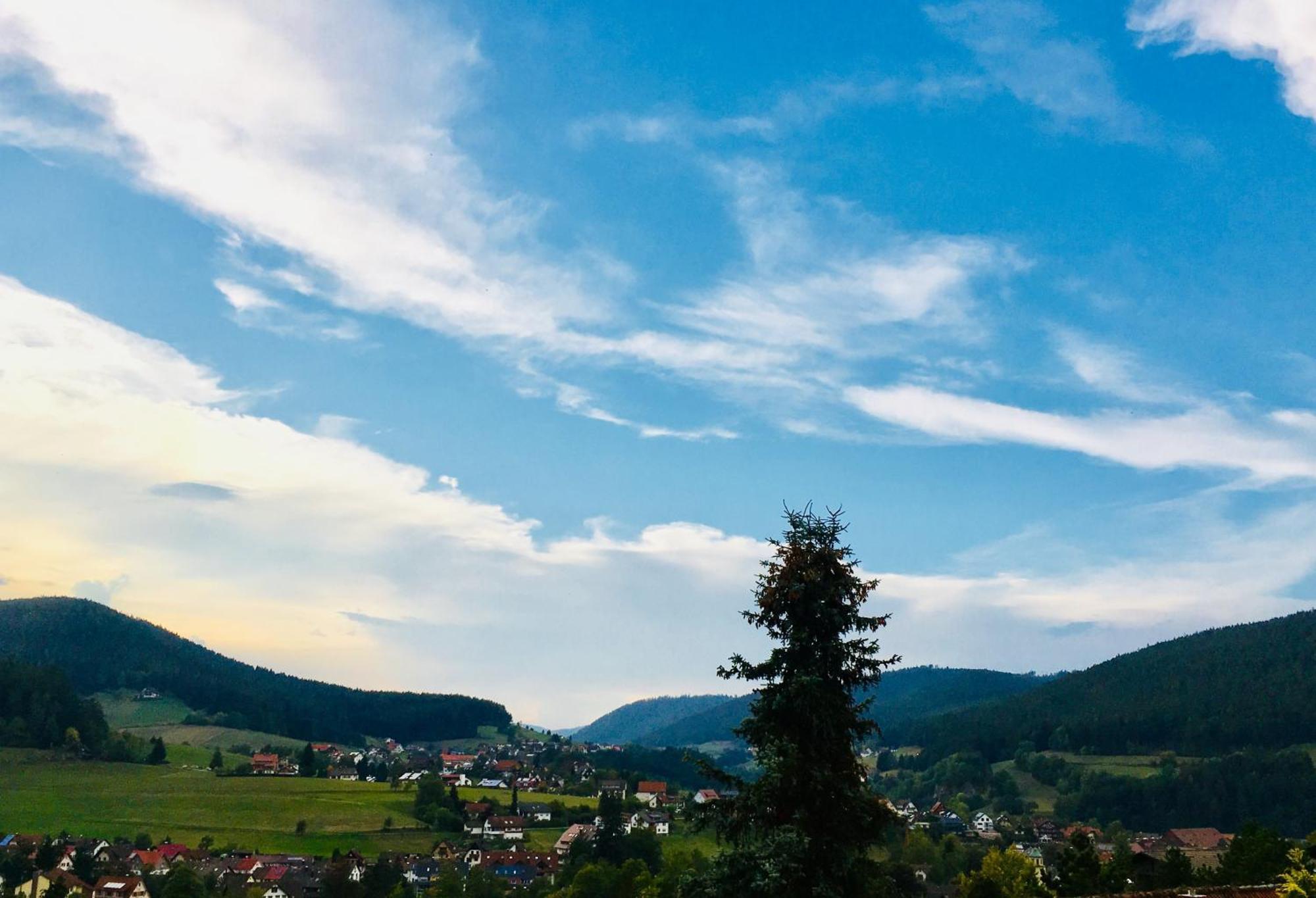 Goldener Hahn B&B Baiersbronn - Ferienwohnungen Mit Hotel Service Nahe Gartenschau Tal X ภายนอก รูปภาพ