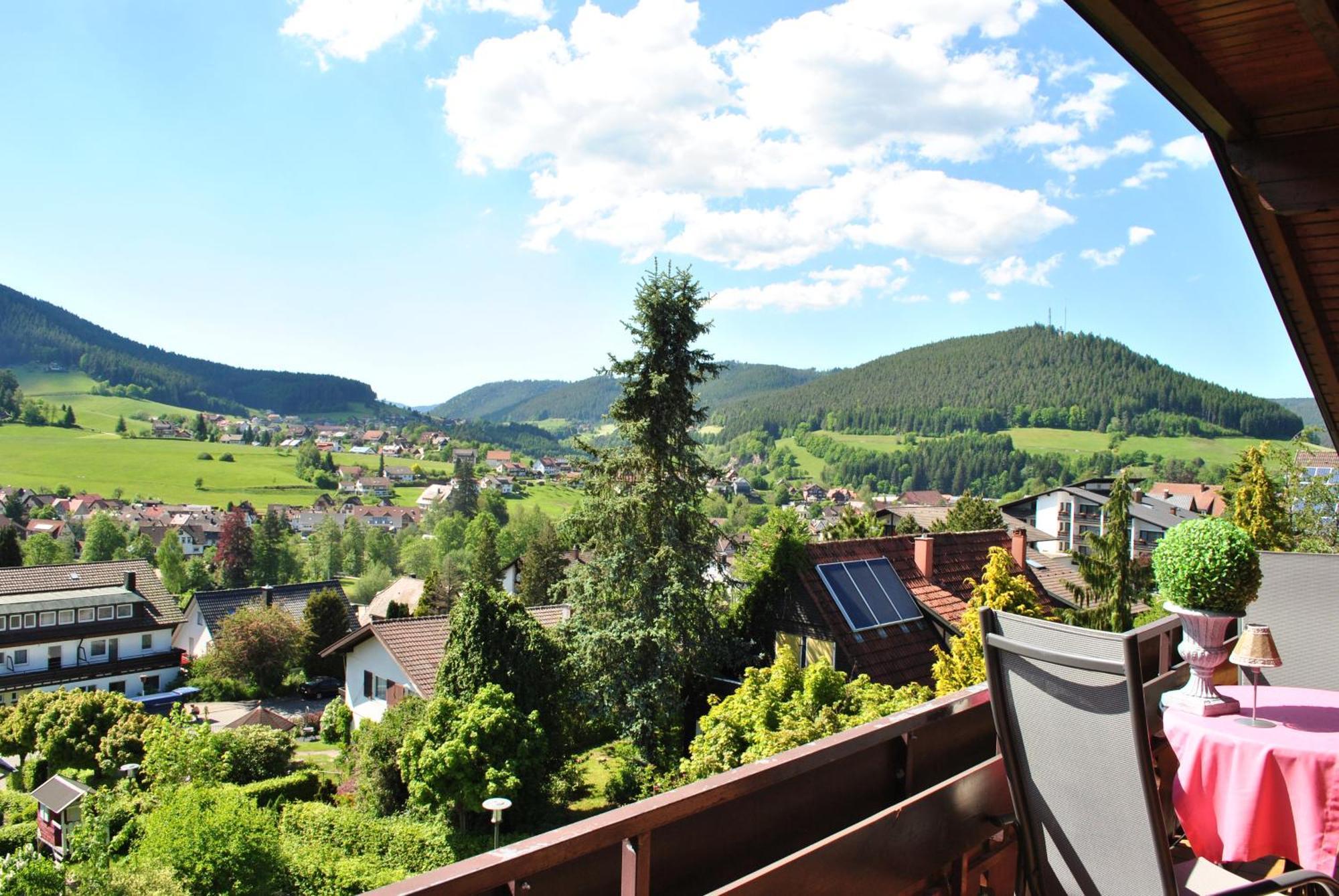 Goldener Hahn B&B Baiersbronn - Ferienwohnungen Mit Hotel Service Nahe Gartenschau Tal X ห้อง รูปภาพ